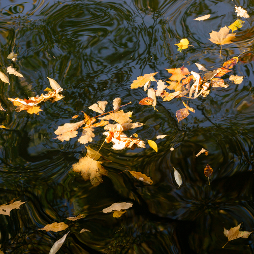 Photo #14093915