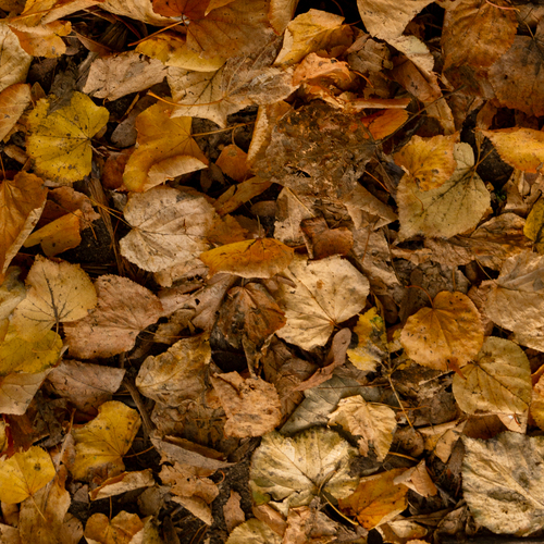 Photo #14093916