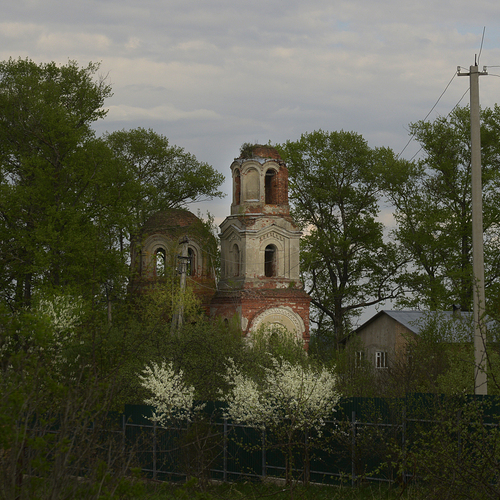 Photo #14093928