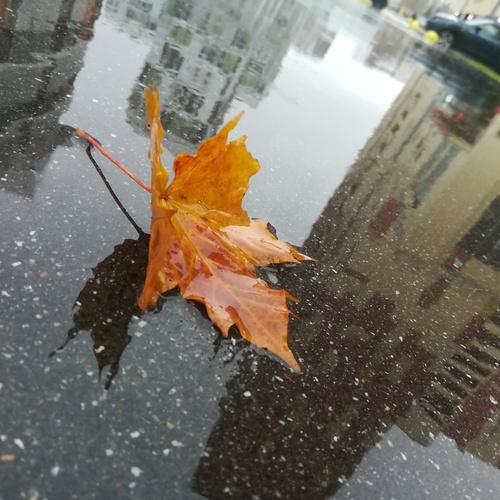 Photo #14093932