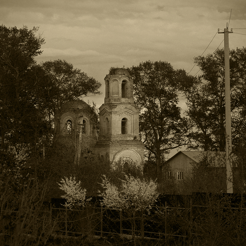 Photo #14093935
