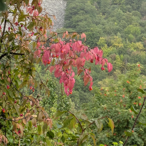 Photo #14093952