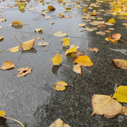 Photo #14093971