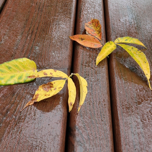 Photo #14093985