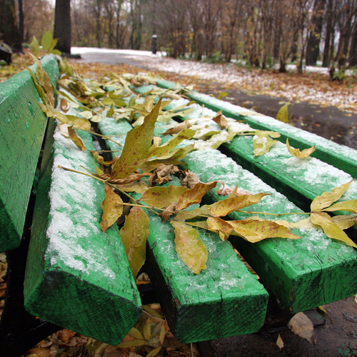 Photo #14093996