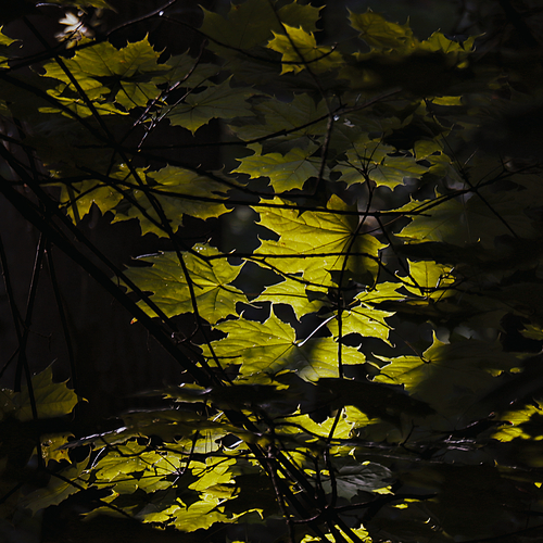 Photo #14094059