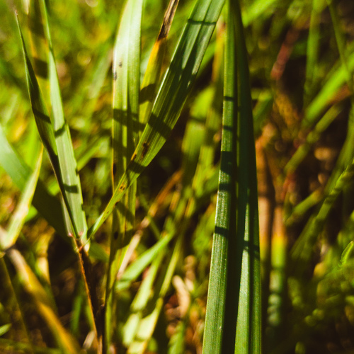 Photo #14094076