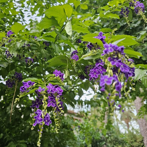 Photo #14094080