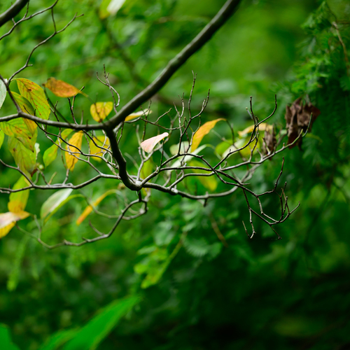 Photo #14094092