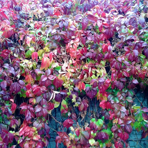 Photo #14094116