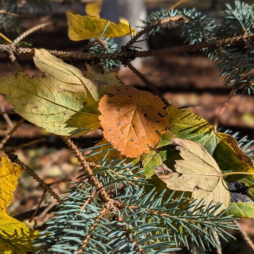 Photo #14094135