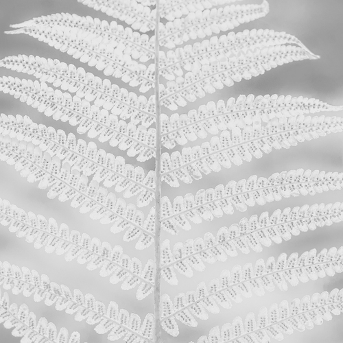 Photo #14094157