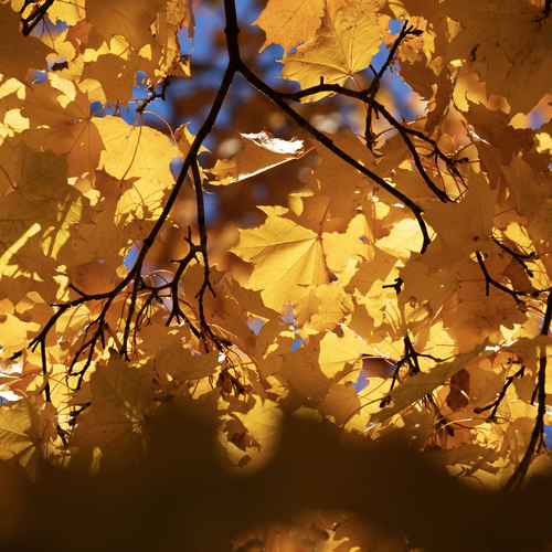 Photo #14094169