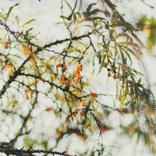 Photo #14094220
