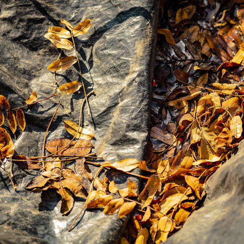 Photo #14094221