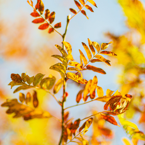 Photo #14094222