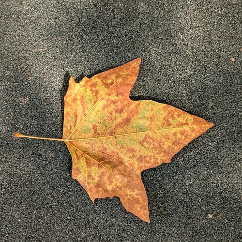 Photo #14094234