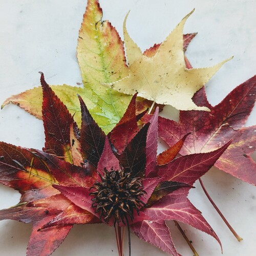 Photo #14094235