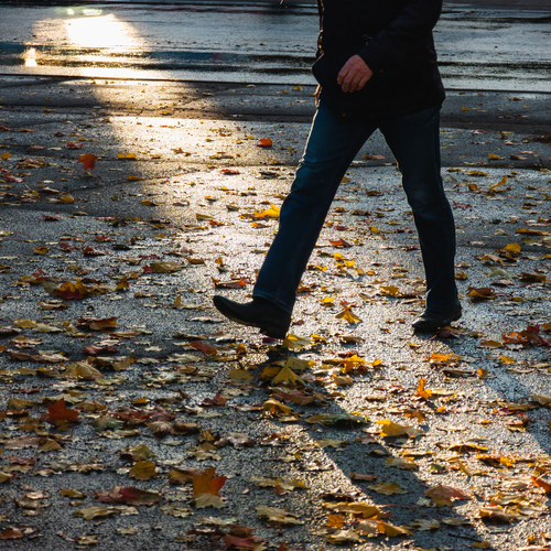 Photo #14094236