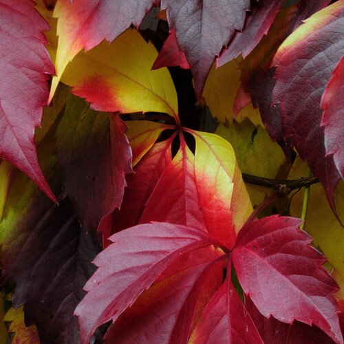 Photo #14094281