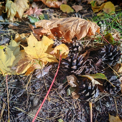 Photo #14094285