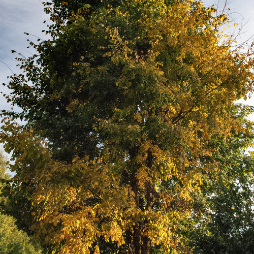 Photo #14094308
