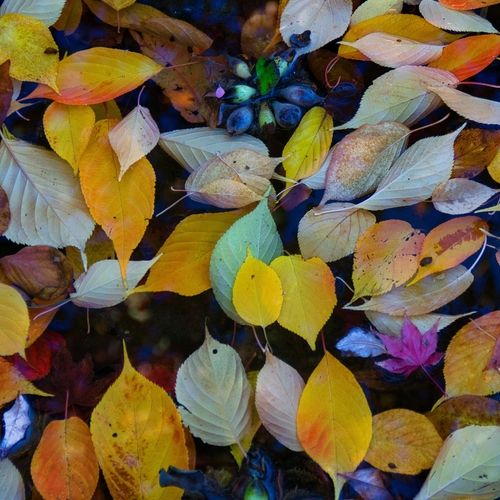 Photo #14094318
