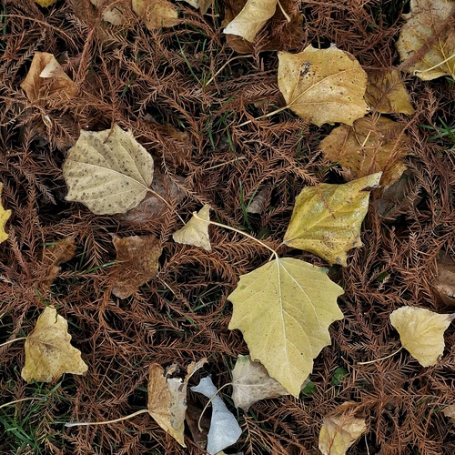 Photo #14094348