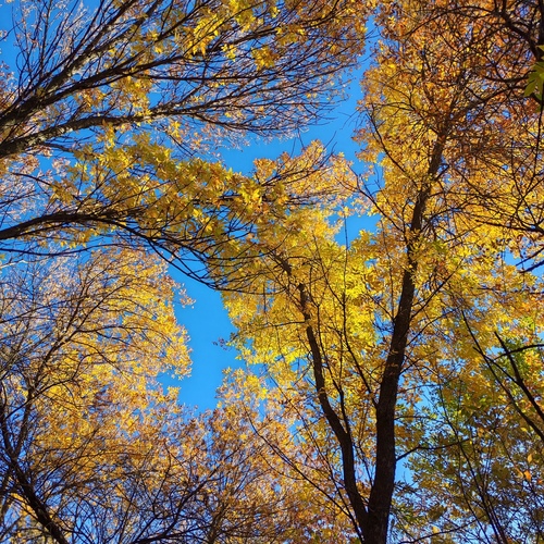 Photo #14094377