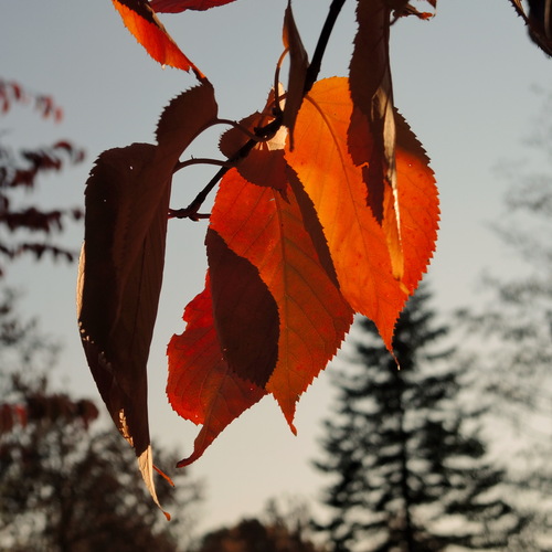 Photo #14094405