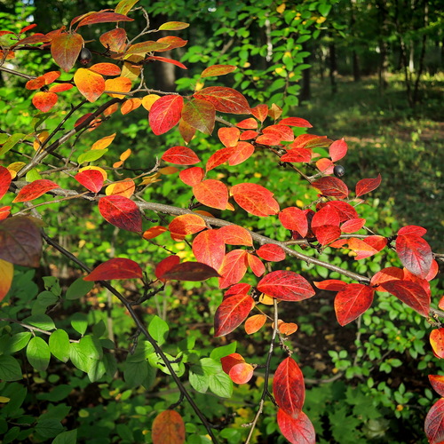 Photo #14094410