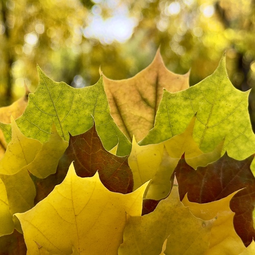 Photo #14094429