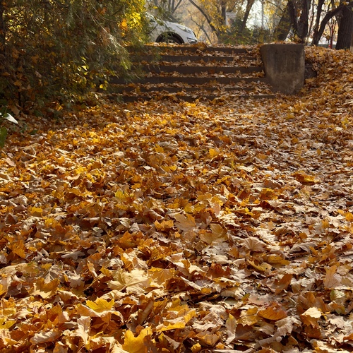 Photo #14094431