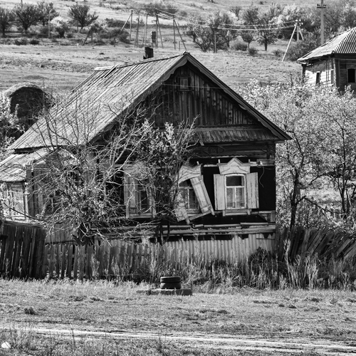 Photo #14094447