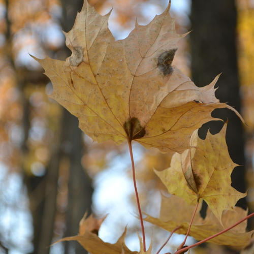 Photo #14094483