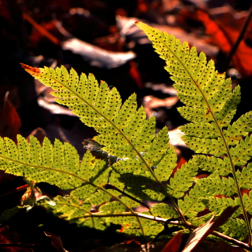 Photo #14094534
