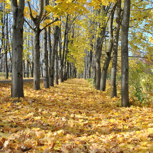 Photo #14094544