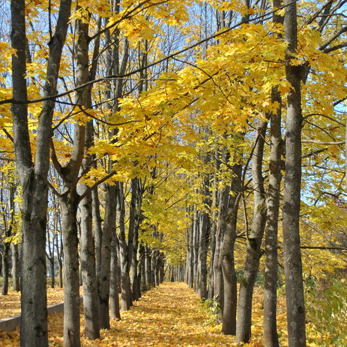 Photo #14094546