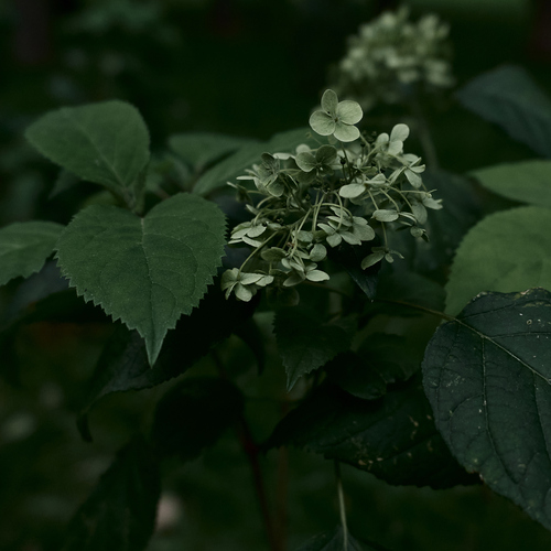 Photo #14094553