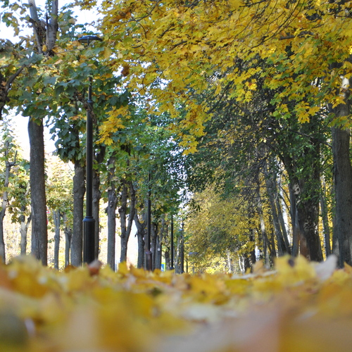 Photo #14094556