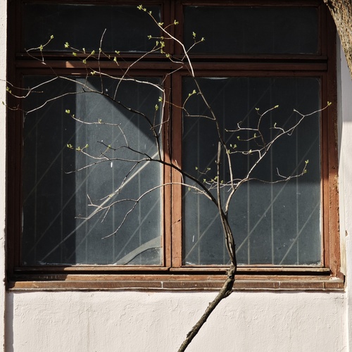 Photo #14094606