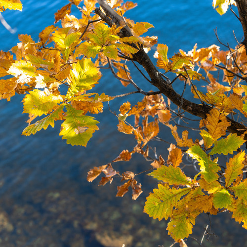 Photo #14094609