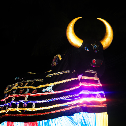 Photo #14094620