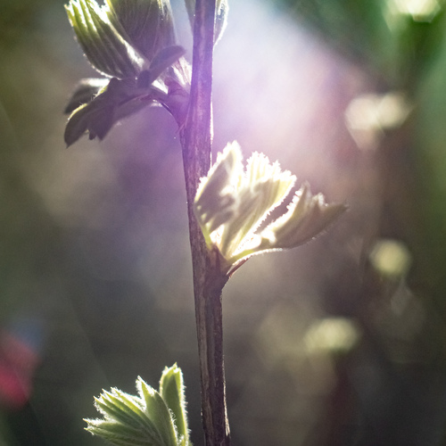 Photo #14094622