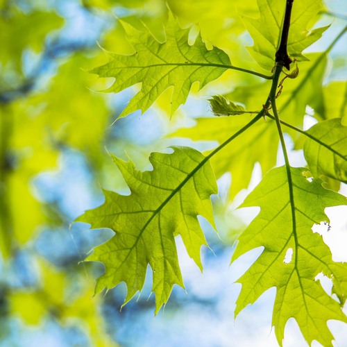 Photo #14094628