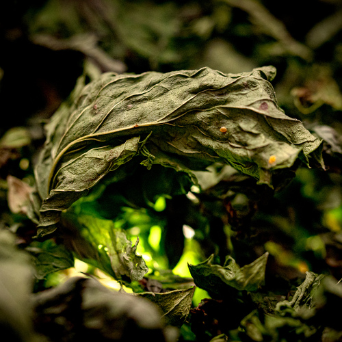 Photo #14094629