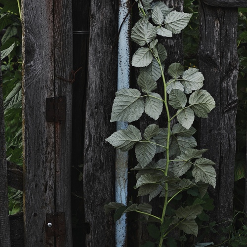 Photo #14094634