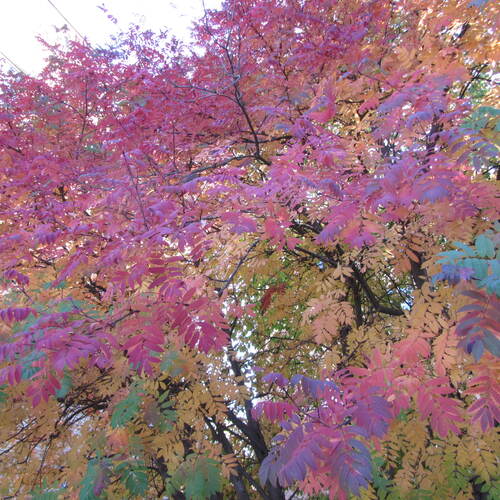 Photo #14094640