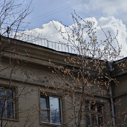 Photo #14094643