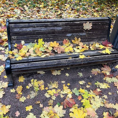 Photo #14094780